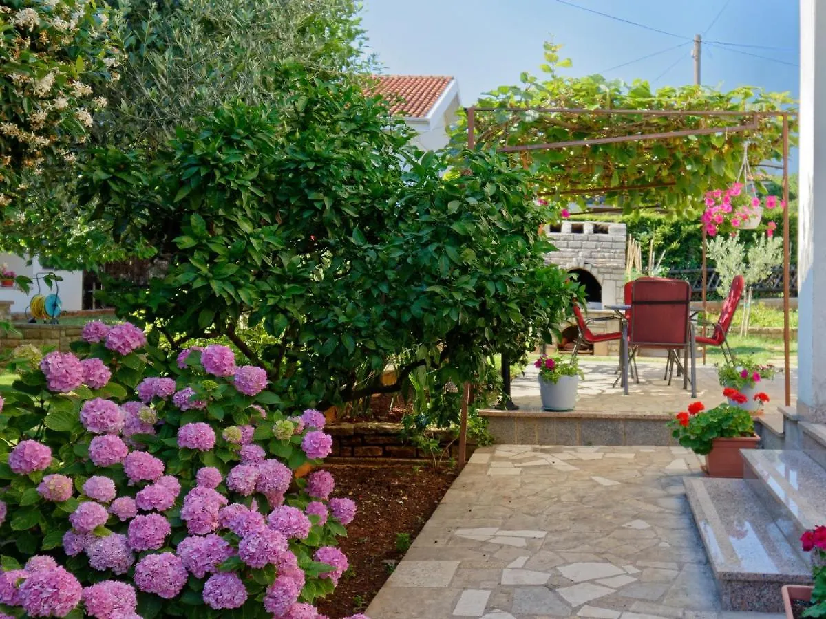 Apartments Marta By Rent Istria Novigrad  Guest house